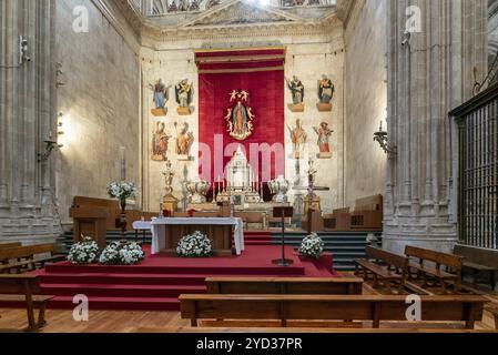 Salamanca, Spagna, 9 aprile 2024: Veduta di dettaglio di una cappella laterale e di una pala d'altare nella nuova Cattedrale di Salamanca, Europa Foto Stock