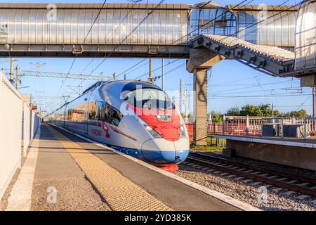 Fermata Peregrine Falcon . Treno ad alta velocità. La Route Mosca - San Pietroburgo. il trasporto di passeggeri. Trasporto. Russo r Foto Stock