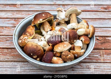 Ciotola con funghi porcini su un tavolo di legno Foto Stock