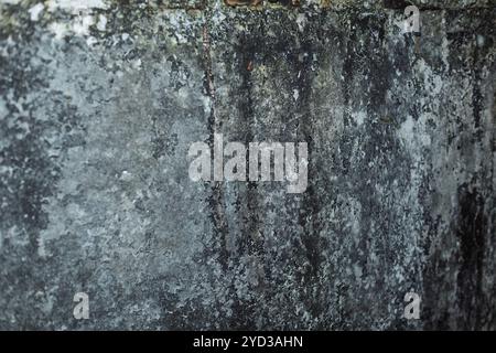 Una parete in calcestruzzo umido ricoperta da ampie porzioni di stampo nero, con incrinature che indicano una mancanza di manutenzione e riparazione. Il muro, che una volta era bianco, h Foto Stock