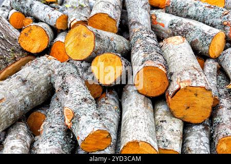 Tritato e impilate a secco di legna da ardere come sfondo Foto Stock