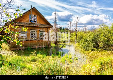 Vecchia casa abbandonata in legno in una palude in campagna Foto Stock