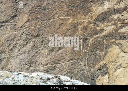 Una delle immagini più interessanti sulla pietra è la scultura faccia a faccia del toro. Il Parco Nazionale di Qobustan (Gobustan) è ben noto per la sua storia Foto Stock