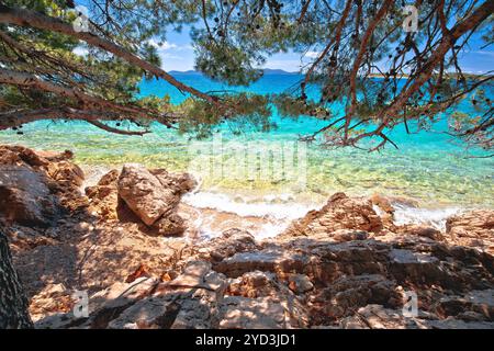 Vista idilliaca della spiaggia turchese attraverso la pineta nella riviera di Zara Foto Stock