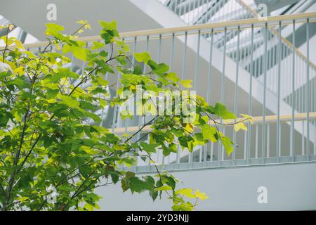 Green Office, moderno edificio per uffici interno con vegetazione vegetale, giardino interno per purificare aria fresca di ozono e risparmiare energia. Foto Stock