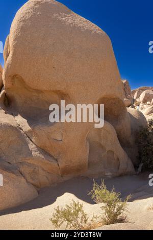 L'iconica Skull Rock nel Joshua Tree National Park, California Foto Stock