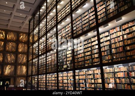 Biblioteca Beinecke rare Books & Manuscripts presso la Yale University di New Haven, Connecticut Foto Stock