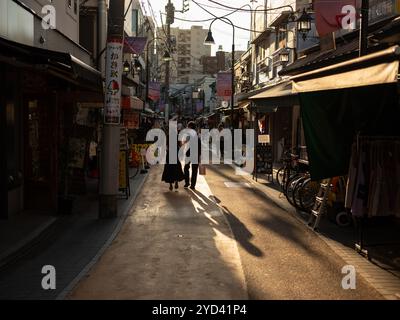 Un paio di cammini attraverso un mercato in un quartiere di Tokyo, in Giappone. Foto Stock