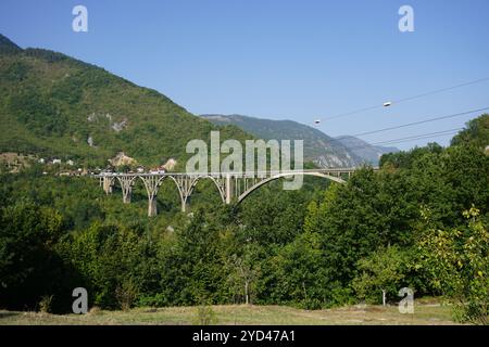 ÄurÄ'eviÄ‡a ( Djurdjevica ) la migliore vista sul ponte di Tara Foto Stock