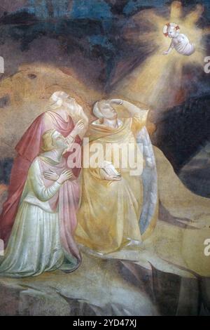 Annunciazione ai Magi, affresco di Taddeo Gaddi (1295-1366), Cappella Baroncelli nella Basilica di Santa Croce Foto Stock