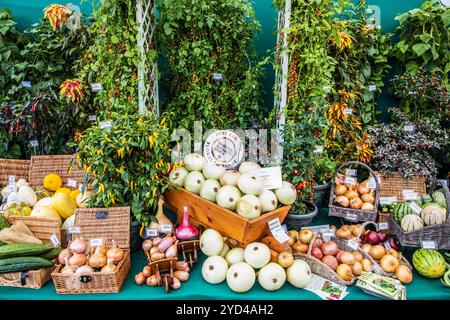 Una mostra vincente di frutta e verdura al Malvern Autumn Show 2024. Foto Stock