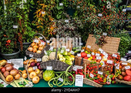 Una mostra vincente di frutta e verdura al Malvern Autumn Show 2024. Foto Stock