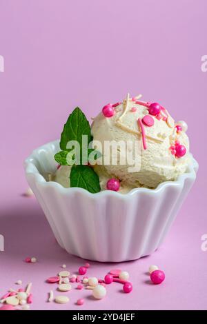 Gelato alla vaniglia fatto in casa con cospargi di zucchero in una ciotola di porcellana con un rametto di menta su sfondo rosa, concentrazione selettiva. Foto Stock