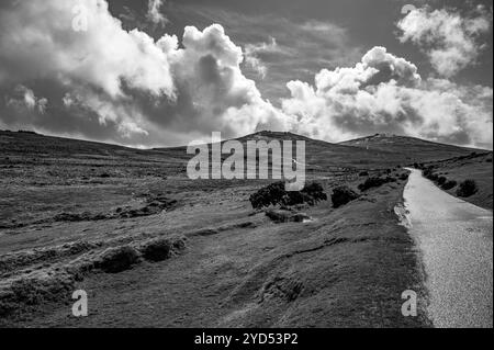 Sì, i punti più alti di Tor & High Willhays Dartmoor. Foto Stock