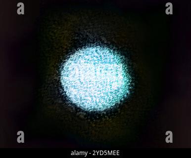 Micrografia elettronica a trasmissione colorata di un virion dell'epatite C. Foto Stock