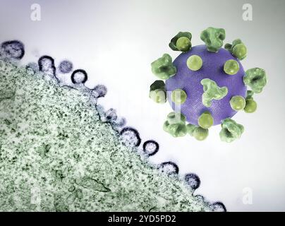 Layout con una stampa 3D colorata di una particella del virus HIV (viola con proteine di superficie verdi) e un'immagine di sfondo colorata. Foto Stock
