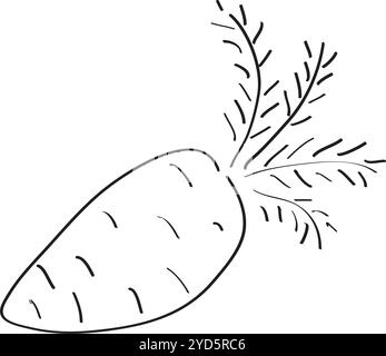 carota disegnata a mano con pennello in nero su sfondo bianco Illustrazione Vettoriale