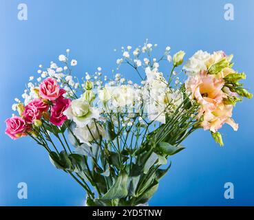 Bouquet di gypsophila ed eustoma bianchi, comunemente noti come lisianthus, Prairie gentian o Texas bluebell. Foto Stock