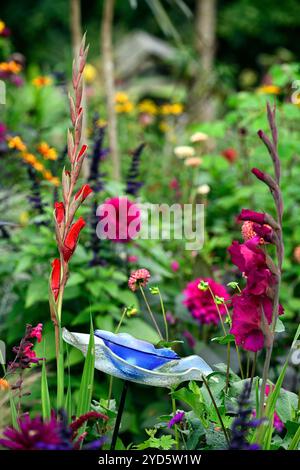 Gladiolus grandiflora Sugar Plum; dahlia autunno arancio; fiori arancio e viola; schema di piantagione misto; letto misto; confine misto; dahlia e gladioli Foto Stock