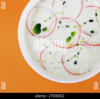 Zuppa fredda di yogurt estivo con ravanello Foto Stock