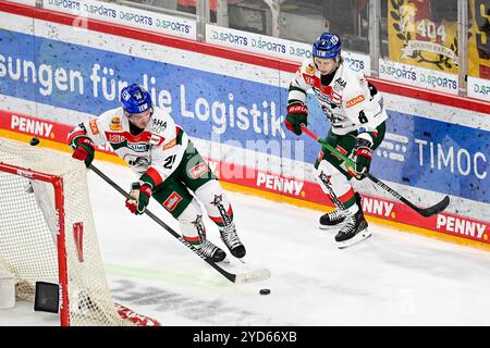 Eishockey DEL - 24/25 - 12. Spieltag: Düsseldorfer EG vs Augsburger Panther am 24.10.2024 im PSD Bank Dome a Düsseldorf Augsburgs Kristian Blumenschein (Nr.8) und Augsburgs Cody Kunyk (Nr.20) foto: Osnapix Foto Stock