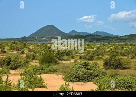 Bellissimo paesaggio con natura. Concetto per viaggi e vacanze estive. Grecia-isola di Corfù. Laguna di Korission Foto Stock