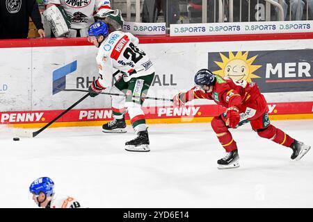 Eishockey DEL - 24/25 - 12. Spieltag: Düsseldorfer EG vs Augsburger Panther am 24.10.2024 im PSD Bank Dome a Düsseldorf Düsseldorfs Tyler Angle (Nr.94) gegen Augsburgs Cody Kunyk (Nr.20) foto: Osnapix Foto Stock