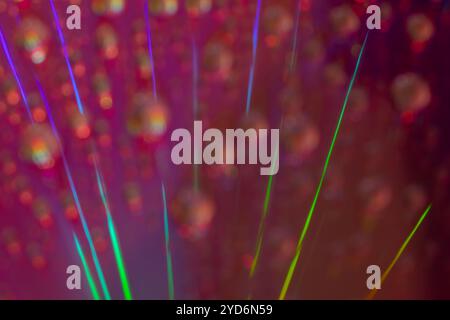 Questa foto macro cattura una straordinaria gamma di strisce luminose diagonali in tonalità verde e viola Foto Stock