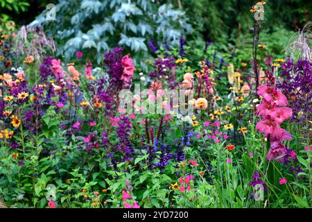 Dahlia Cornel Brons,Dahlia Burlesca,Heliposis Bleeding Hearts,Lychnis Hill Grounds,Kniphofia,Gladiolus Sugar Plum,lobelia speciosa hadspen viola,salv Foto Stock