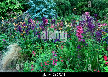 Dahlia Cornel Brons,Dahlia Burlesca,Heliposis Bleeding Hearts,Lychnis Hill Grounds,Kniphofia,Gladiolus Sugar Plum,lobelia speciosa hadspen viola,salv Foto Stock