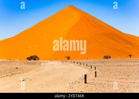 La duna più famosa numero 45. Africa. Namibia. Il deserto del Namib. Deadvleiis l'attrazione nel parco Namib-Naukluft. Circondato dalla duna arancione Foto Stock