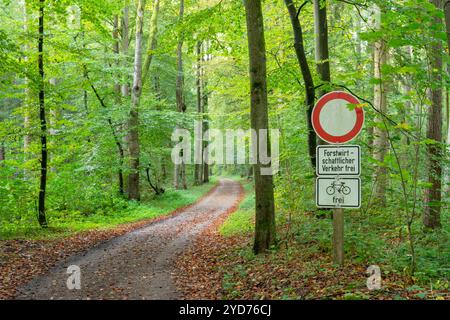 Sentiero forestale con cartello di divieto Foto Stock