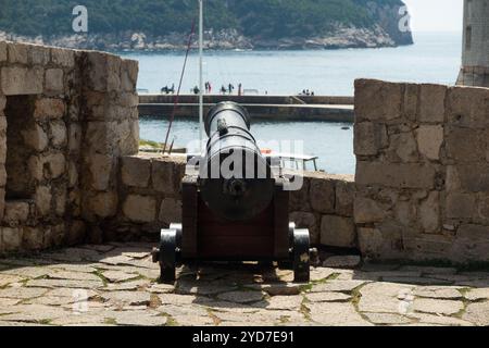 La vista dal punto panoramico sul lato di Fort Revelin, dopo l'ingresso di Ploce Gate alla città vecchia fortificata. Dubrovnik. Croazia. Un cannone originale di artiglieria è in mostra, che punta verso l'isola di Lokrum. (138) Foto Stock