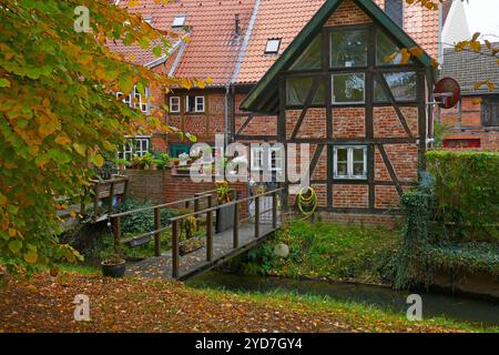 Boizenburg/Elba in autunno, Germania Foto Stock