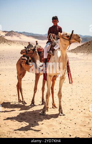 Un ragazzo sta cavalcando un cammello nel deserto. Il cammello è bianco e ha una fascia rossa intorno al collo Foto Stock