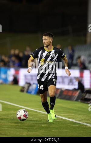 25 ottobre 2024; Campbelltown Stadium, Sydney, NSW, Australia: A-League Football, MacArthur FC contro Newcastle Jets; Marin Jakolis del MacArthur FC corre sul pallone Foto Stock