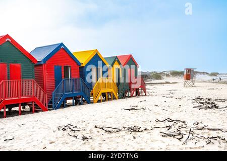 Colorate capanne sulla spiaggia di Muizenberg in Sud Africa Foto Stock