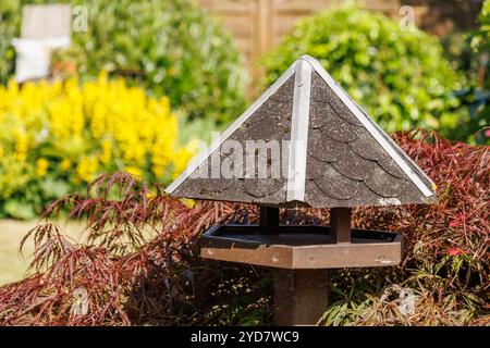 Inizio estate in vestfalia con un bellissimo giardino Foto Stock