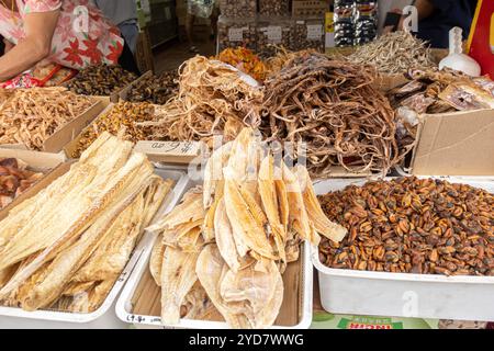 Pesce secco venduto al Teck Yin Soon, negozio di medicina cinese a Singapore Chinatown Foto Stock