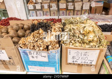 Verdure secche, erbe secche, Teck Yin Soon negozio di medicina cinese a Singapore Chinatown Foto Stock