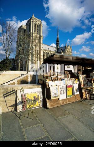 Francia Parigi - bancarelle di libri di seconda mano lungo la Senna - Patrimonio dell'Umanità dell'UNESCO e nella cattedrale di Notre Dame Foto Stock