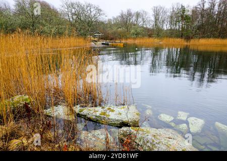 Un lago svedese in autunno Foto Stock