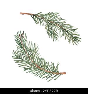 Set di rami di pino, fiore o abete rosso. Illustrazione dipinta a mano ad acquerello di piante forestali invernali con aghi verdi su sfondo bianco. Per Natale Foto Stock