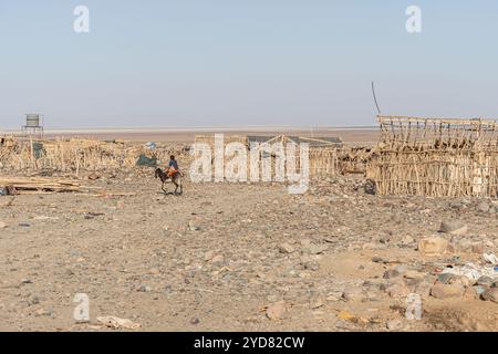 Alloggi tradizionali in un remoto villaggio indigeno di Afar nella depressione di Danakil, regione di Afar Etiopia Foto Stock