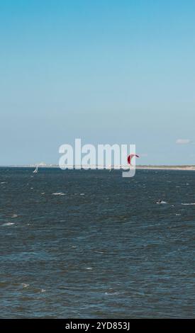 Un solo kitesurfer sull'acqua con un aquilone rosso. Un solo kitesurfer sull'acqua con un aquilone rosso. Cielo limpido, giorno di sole. Spiaggia di Scheveningen, l'Aia, Paesi Bassi. Animal Seagull B97A7250 Foto Stock