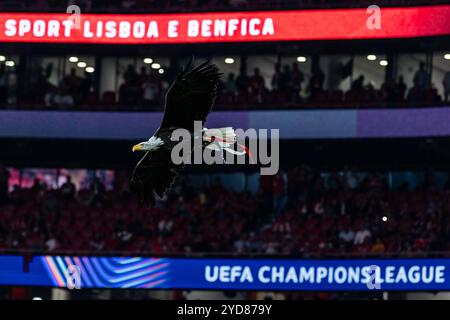 Lisboa, Portogallo. 23 ottobre 2024. L'aquila SL Benfica si è vista durante la fase MD3 della UEFA Champions League 2024/25 tra SL Benfica e Feyenoord all'Estadio da Luz. Punteggio finale; SL Benfica 1 : 3 Feyenoord. (Foto di David Martins/SOPA Images/Sipa USA) credito: SIPA USA/Alamy Live News Foto Stock