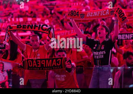 Lisboa, Portogallo. 23 ottobre 2024. I tifosi della SL Benfica hanno visto durante la fase MD3 della UEFA Champions League 2024/25 tra SL Benfica e Feyenoord all'Estadio da Luz. Punteggio finale; SL Benfica 1 : 3 Feyenoord. (Foto di David Martins/SOPA Images/Sipa USA) credito: SIPA USA/Alamy Live News Foto Stock