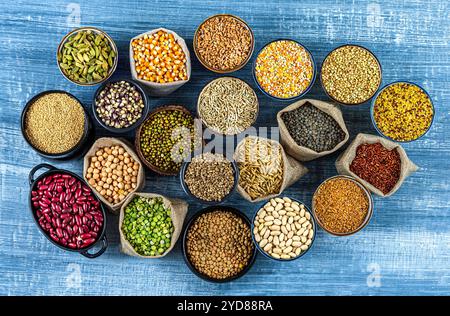 I semi e i chicchi di cibo raccolti sono visti dall'alto. Foto Stock