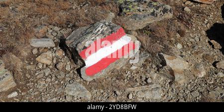 Waymark con bandiera austriaca, dipinto su una massiccia formazione rocciosa vicino a Serfaus Foto Stock