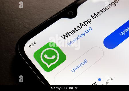 25 ottobre 2024, Brasile. In questa immagine, il logo dell'app WhatsApp viene visualizzato sullo schermo di uno smartphone Foto Stock